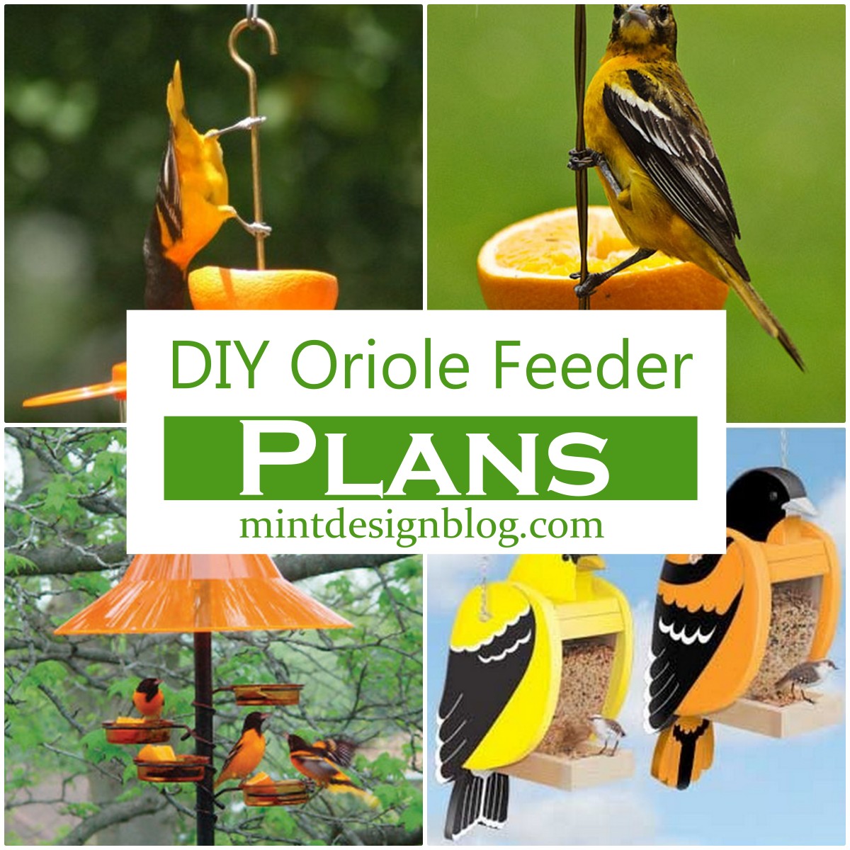 11 DIY Oriole Feeder Plans To Invite Birds In Your Garden Mint Design