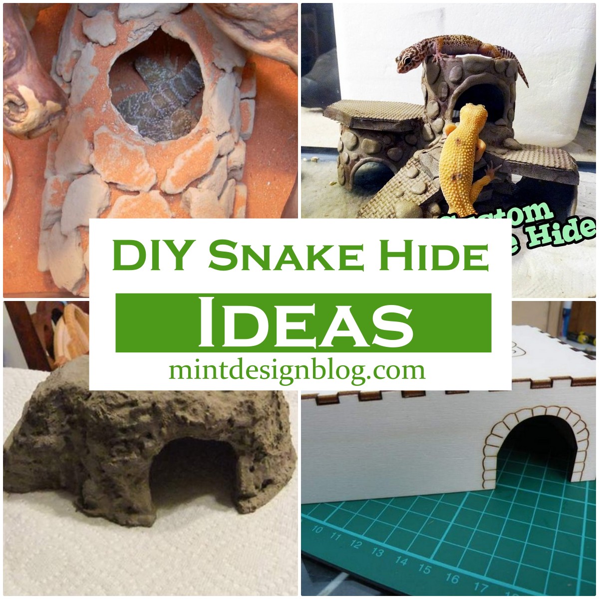24 DIY Snake Hide Ideas Mint Design Blog