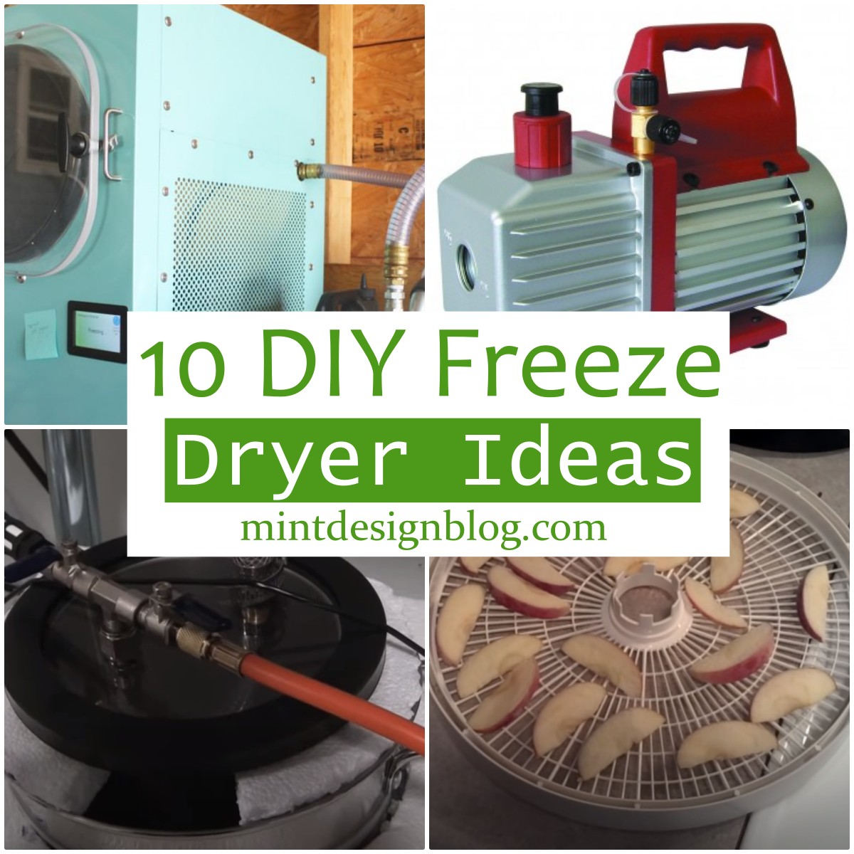 10 DIY Freeze Dryer Ideas Mint Design Blog